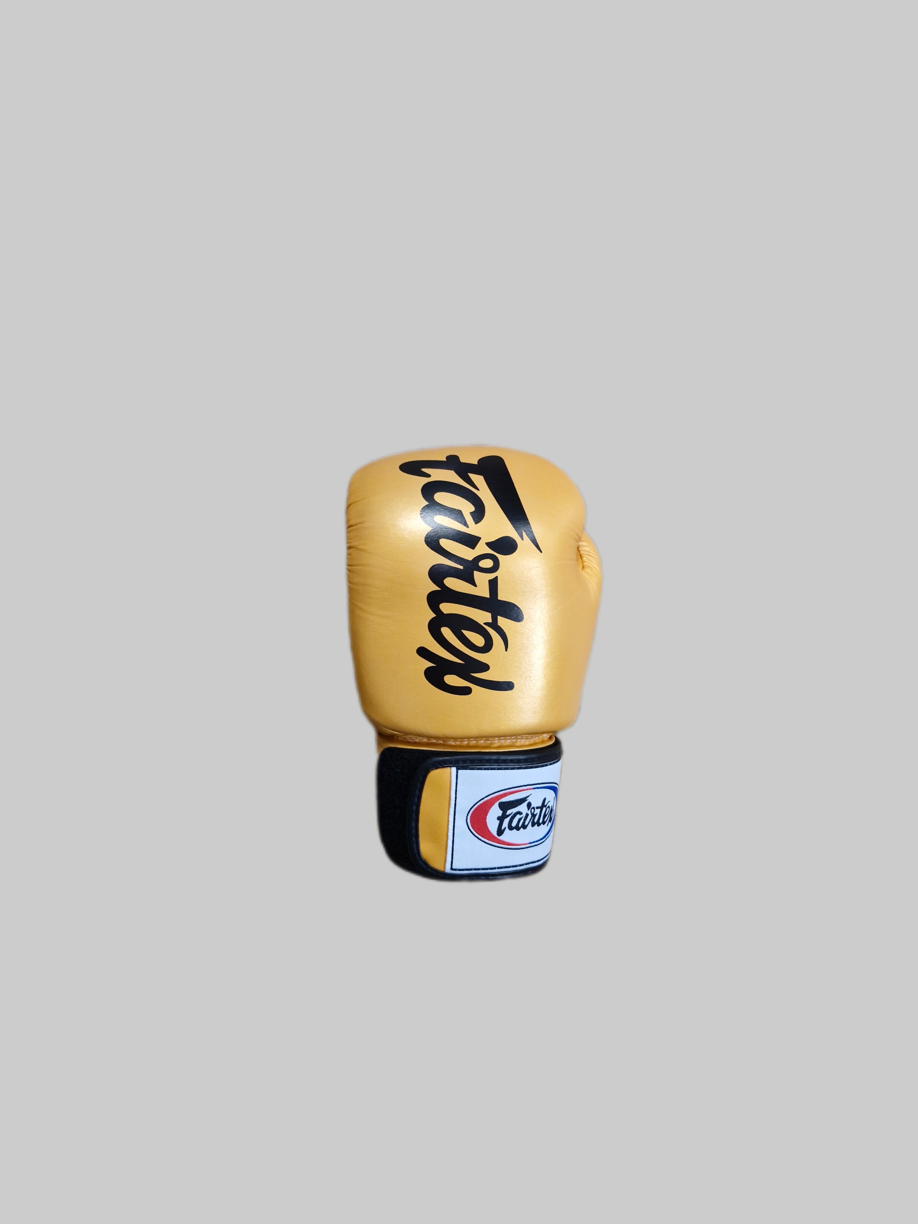 Gants de boxe Fairtex Solid